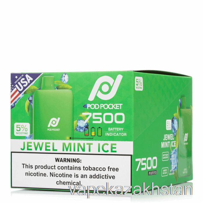 Vape Smoke [10-PACK] Pod Pocket 7500 Disposable